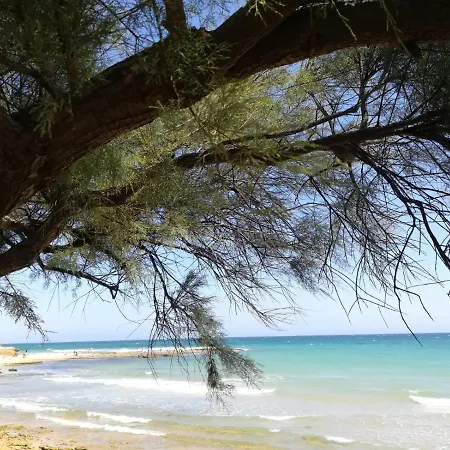Tra Vento E Mare *